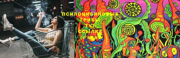 СК Бородино