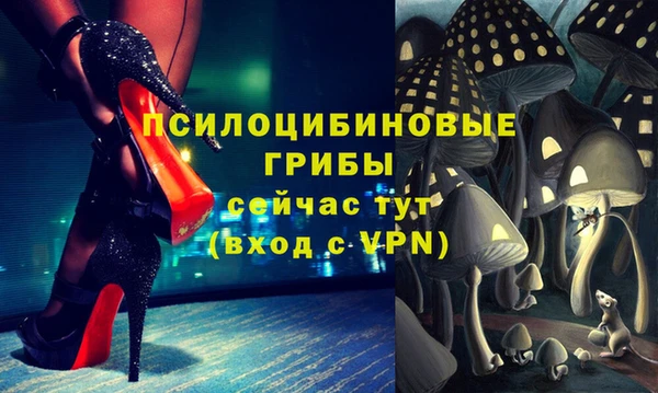 СК Бородино