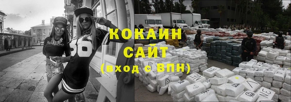 шишки Бугульма