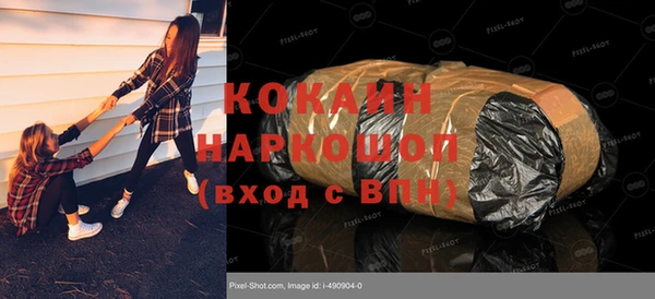 СК Бородино