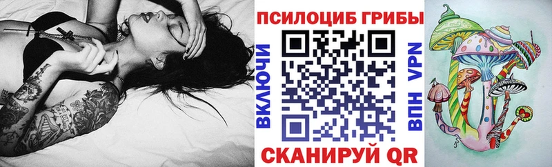 Галлюциногенные грибы Magic Shrooms  где можно купить наркотик  Качканар 